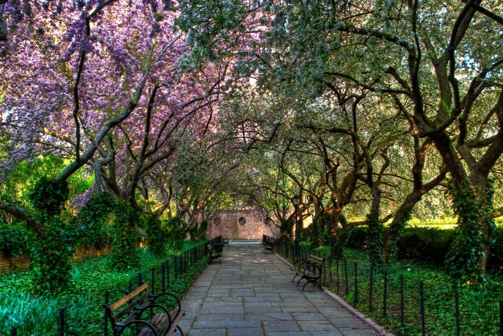 central-park