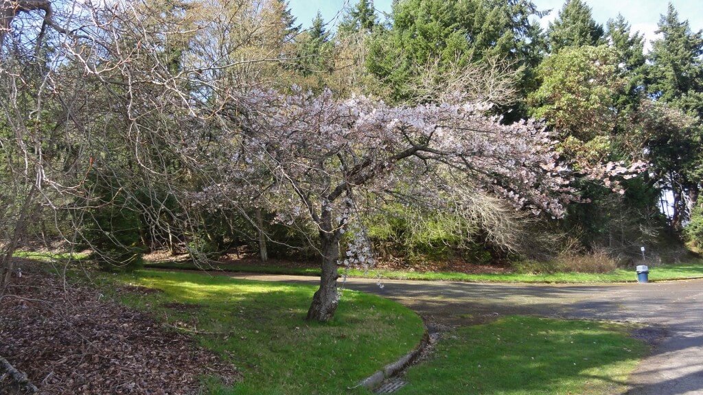 seward-park