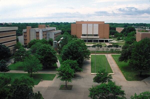 university of texas arlington online msw program