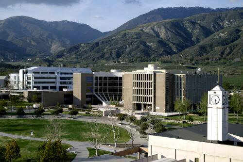 California State University San Bernardino Online MSW Program