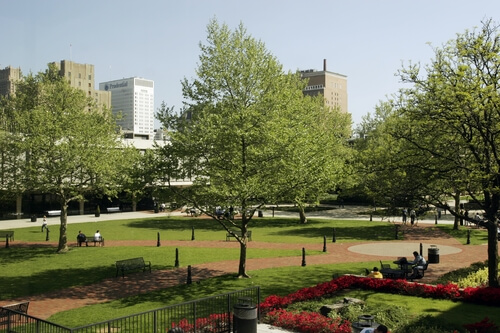Rutgers University Newark Selective Social Work Schools